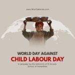 National Red Rose Day: Celebrating the Symbol of Love and Beauty