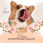 Honoring Mother Teresa: Love and Compassion on Her 2025 Anniversary wishes